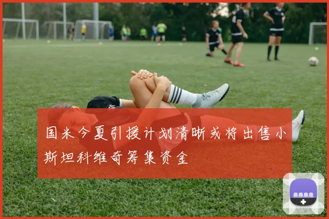 国米今夏引援计划清晰或将出售小斯坦科维奇筹集资金